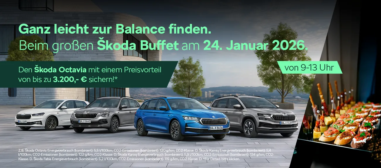 Skoda Buffet 2026