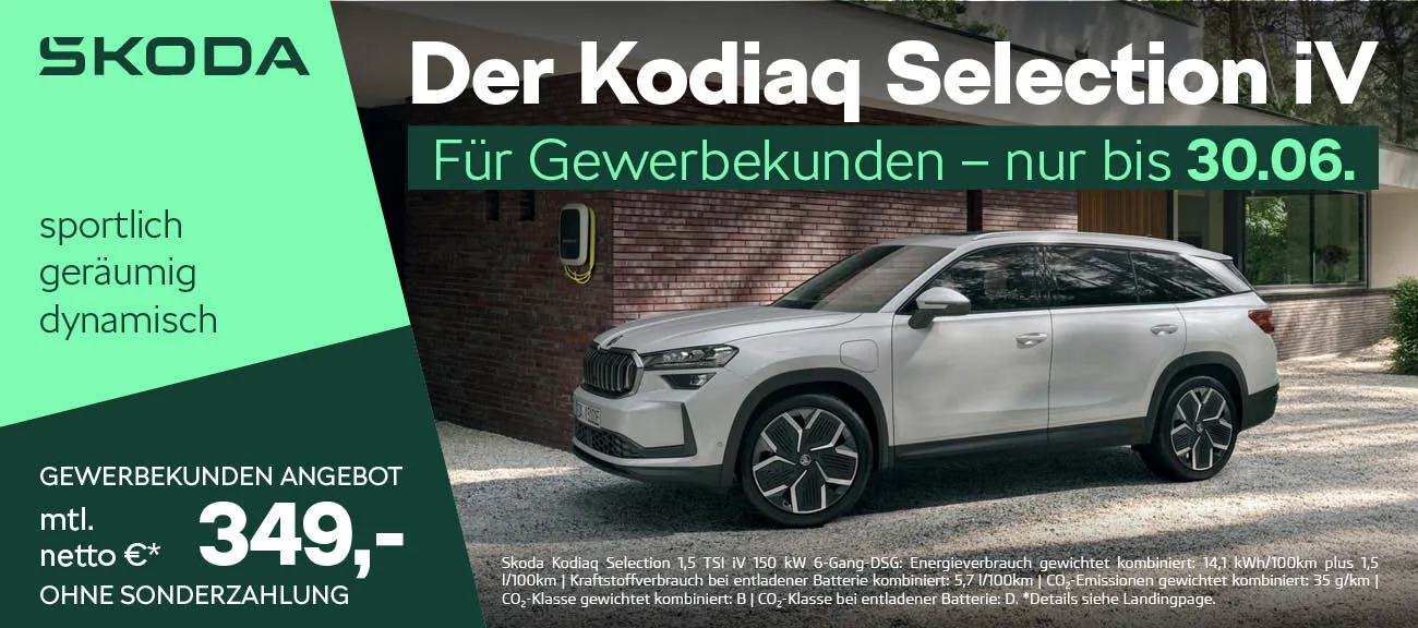 Slider Skoda Kodiaq Gewerbe