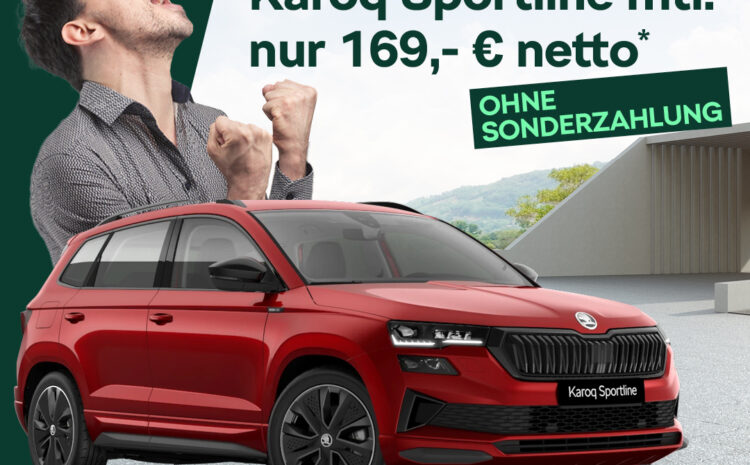  Škoda Karoq Gewerbe Deal