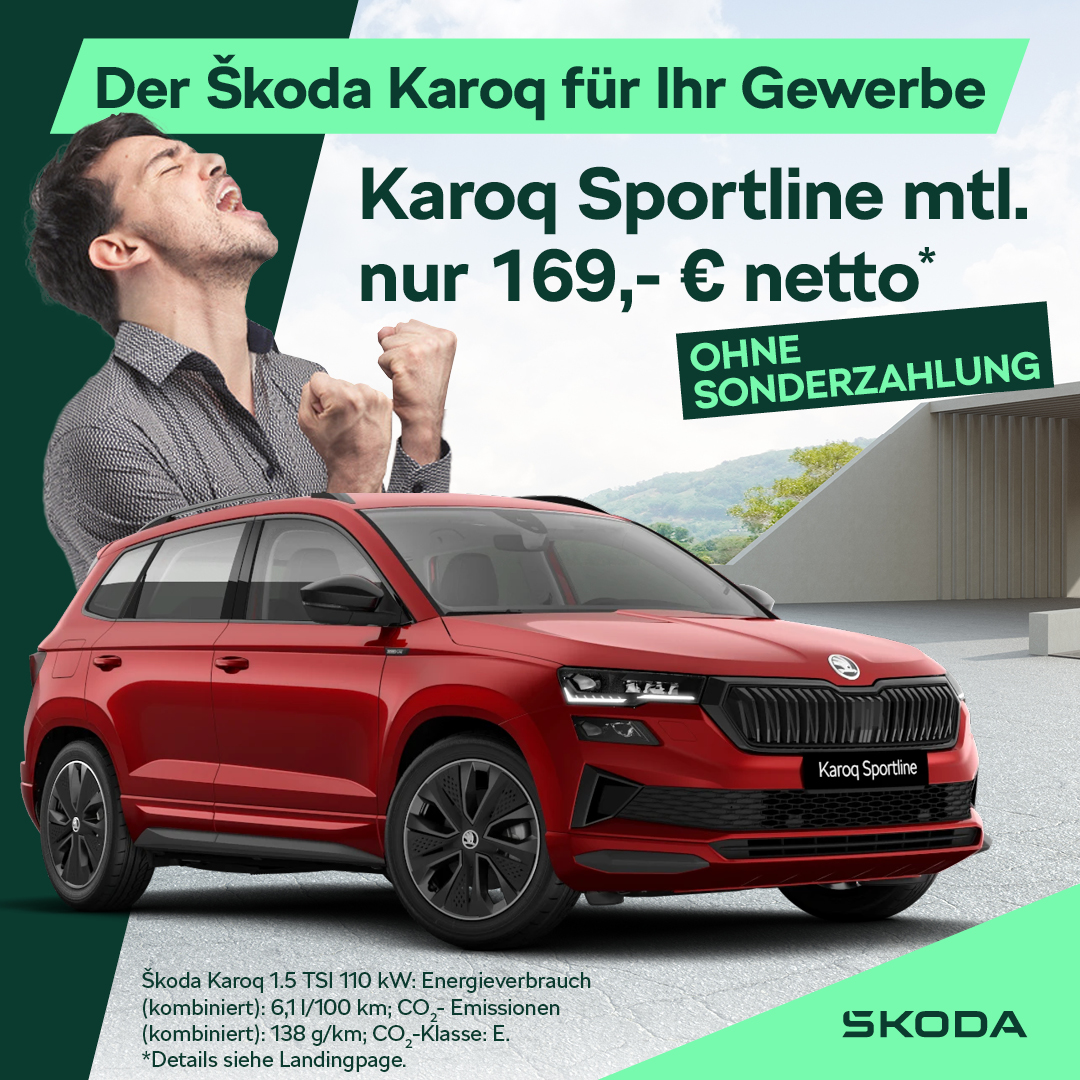 Skoda Karoq Gewerbe Deal