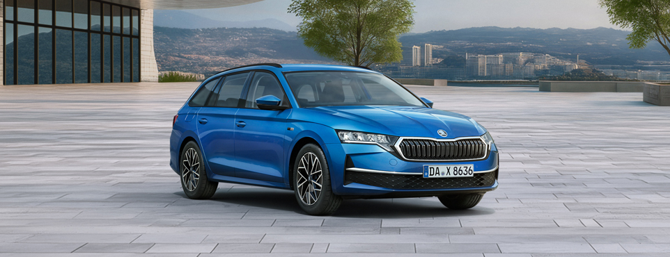 Homepagepaket_Content_Octavia_Combi-1