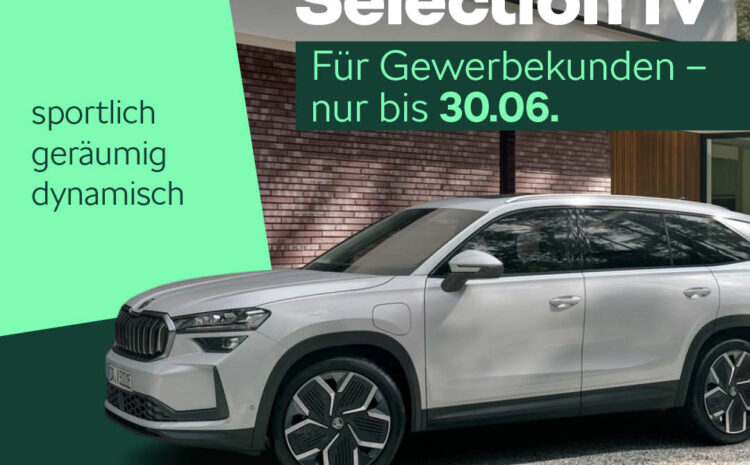  Der Kodiaq Selection iV für Gewerbekunden