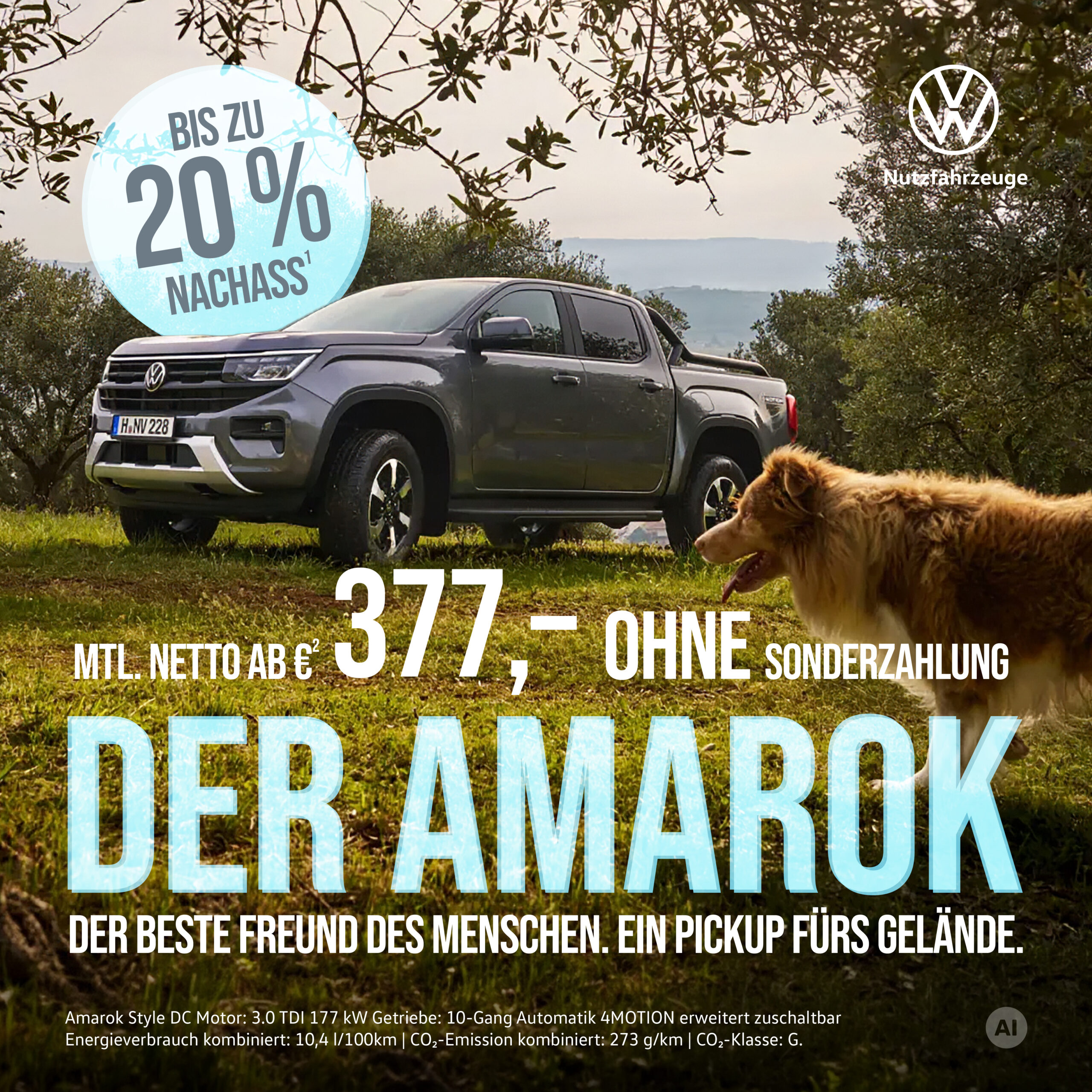 BB Amarok Aktionswochen