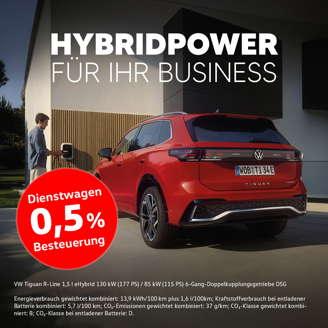 Hybridpower